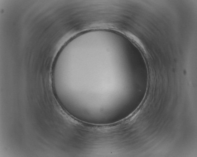 X0000073761288200608171347