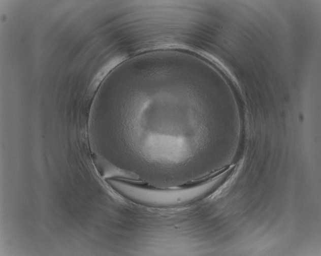 X0000073761289200608171347