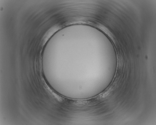 X0000073761290200608171347