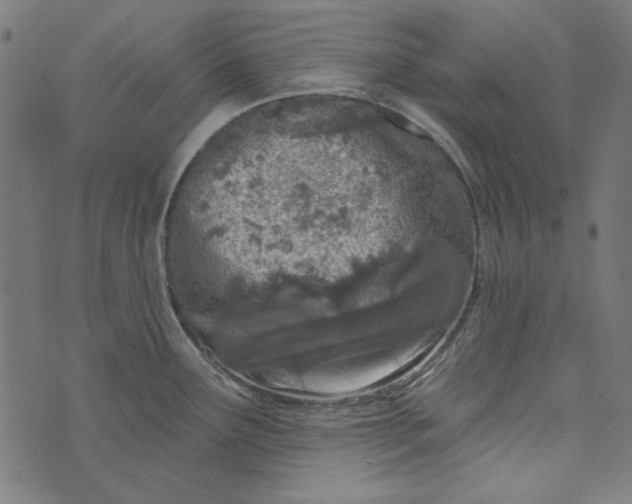 X0000073761291200608171347