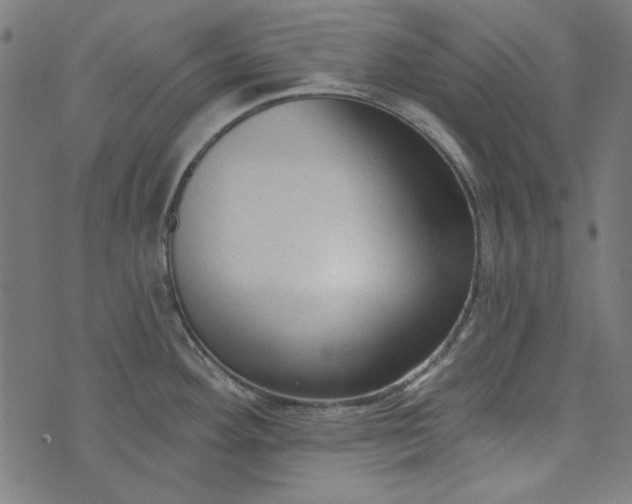 X0000073761292200608171347