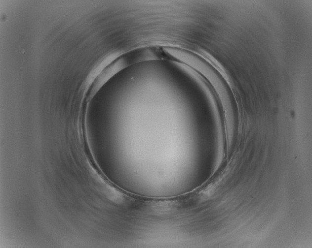 X0000073761293200608171347