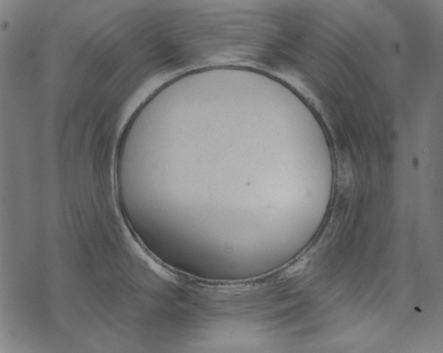 X0000073761294200608171347