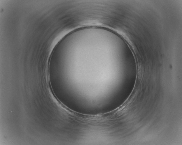 X0000073761295200608171347