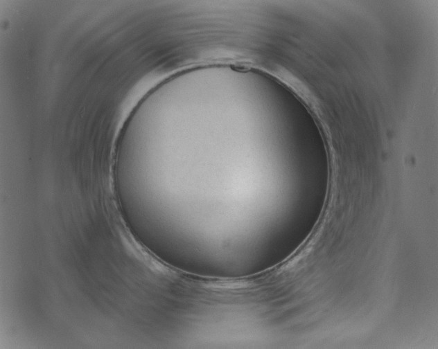 X0000073761296200608171347