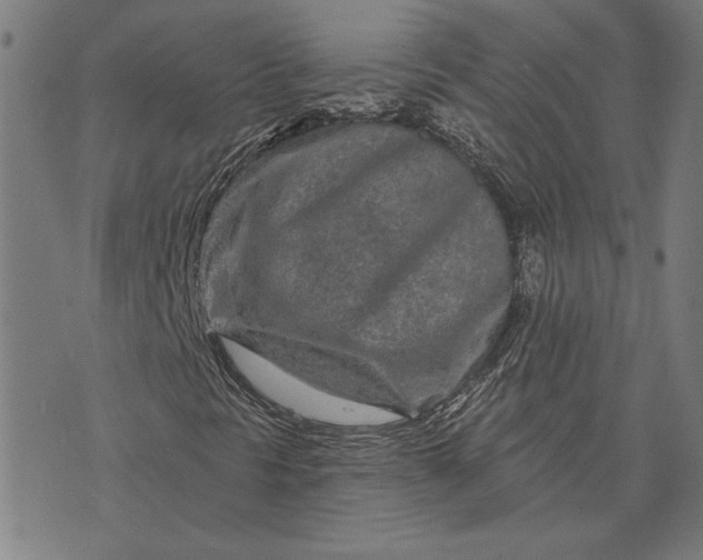 X0000073761297200608171346