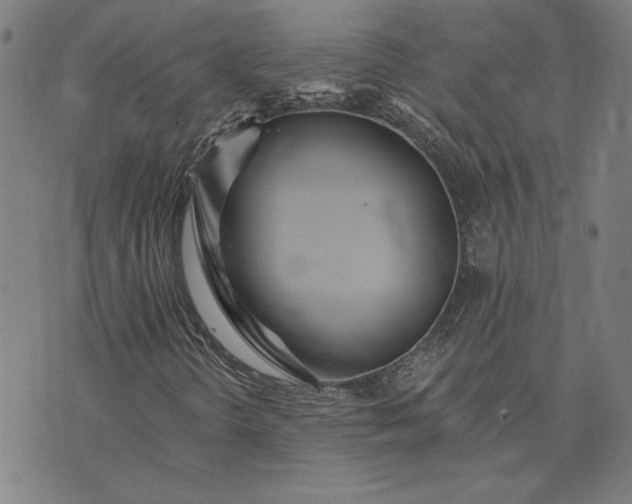 X0000073761298200608171346