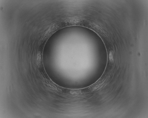 X0000073761299200608171346