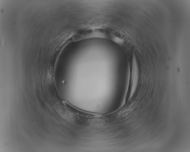 X0000073761300200608171346