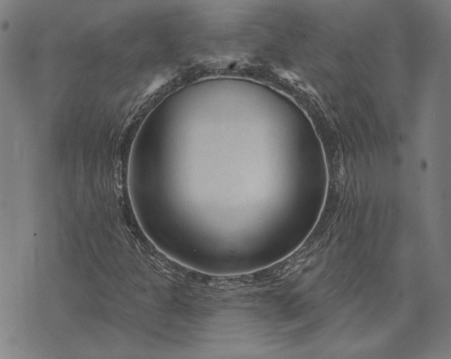 X0000073761301200608171346