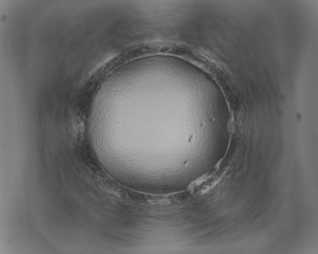 X0000073761302200608171346