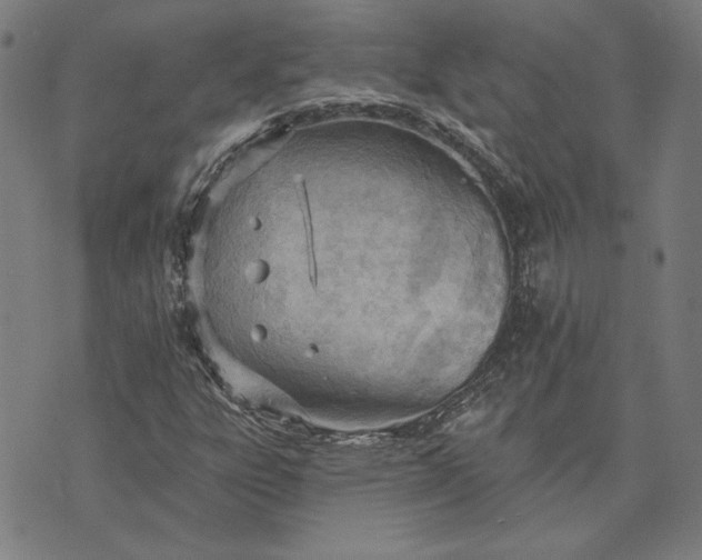 X0000073761303200608171346