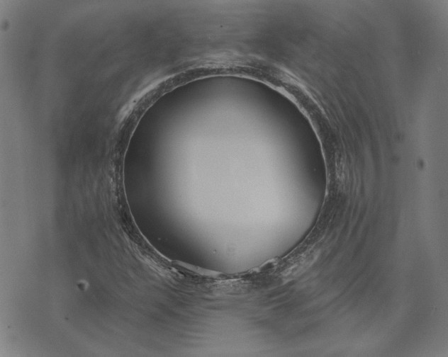 X0000073761304200608171346