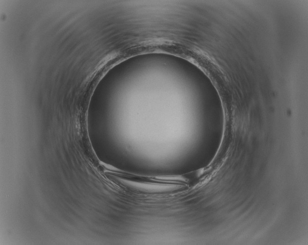 X0000073761305200608171346