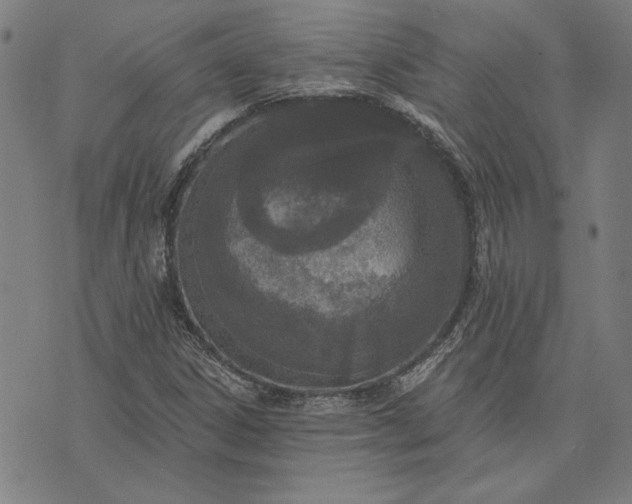 X0000073761306200608171346