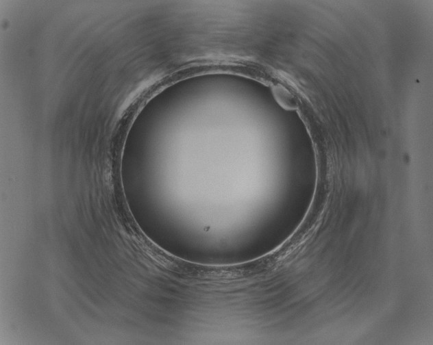 X0000073761307200608171346