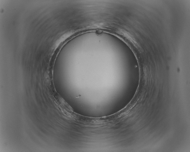 X0000073761308200608171346