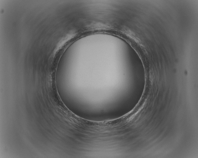 X0000073761309200608171346