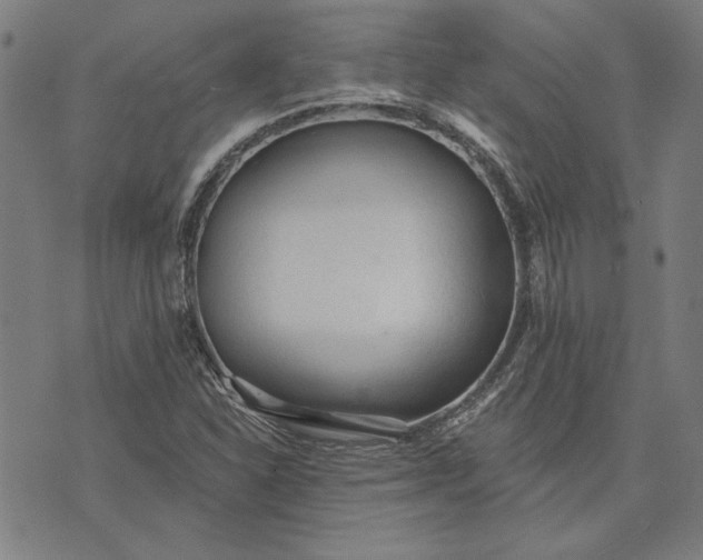 X0000073761310200608171346