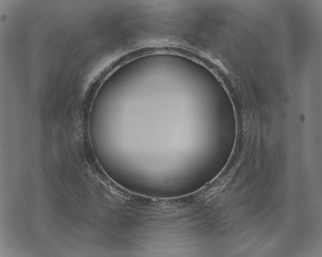 X0000073761311200608171346