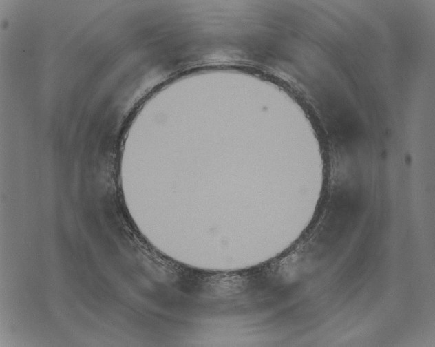 X0000073761314200608171346