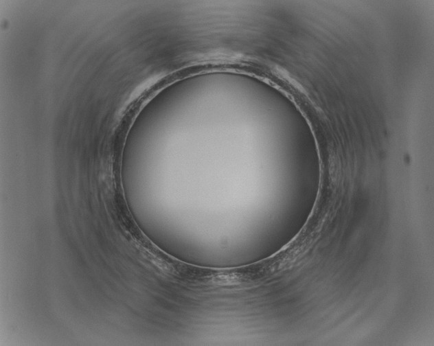 X0000073761315200608171346