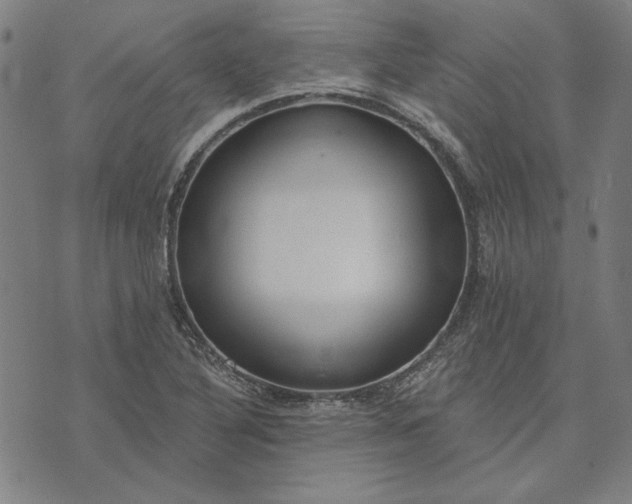 X0000073761316200608171346