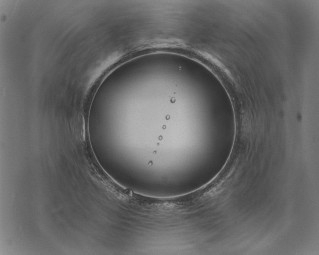 X0000073761317200608171346