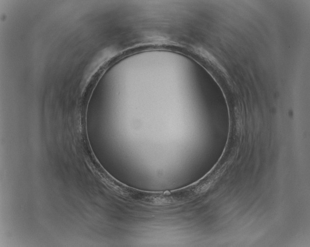 X0000073761318200608171346