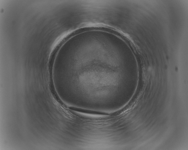 X0000073761319200608171346