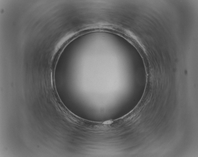 X0000073761320200608171346