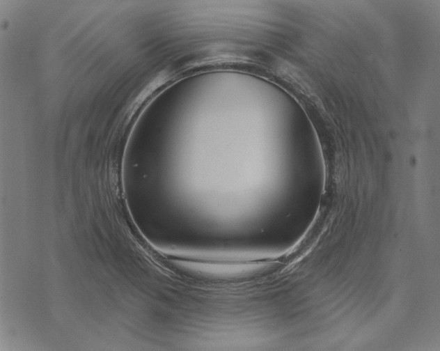 X0000073761321200608171346