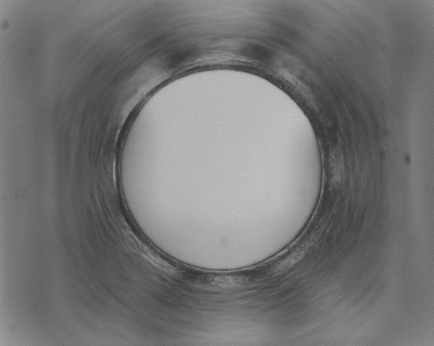 X0000073761322200608171346