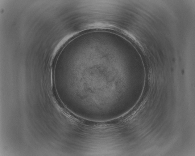 X0000073761323200608171346