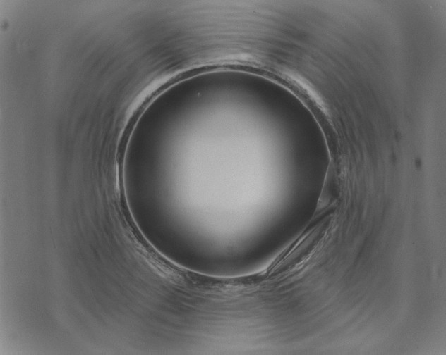 X0000073761324200608171346