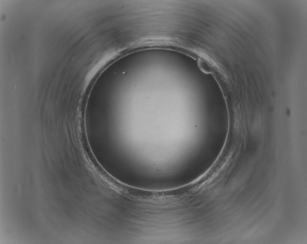 X0000073761325200608171346