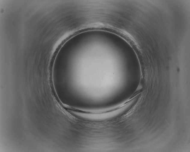 X0000073761326200608171346