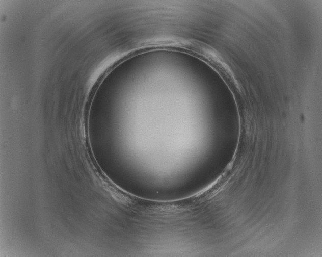 X0000073761328200608171347