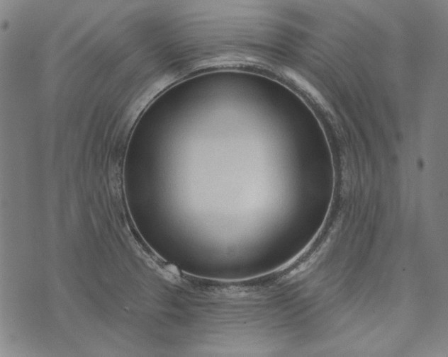 X0000073761329200608171347