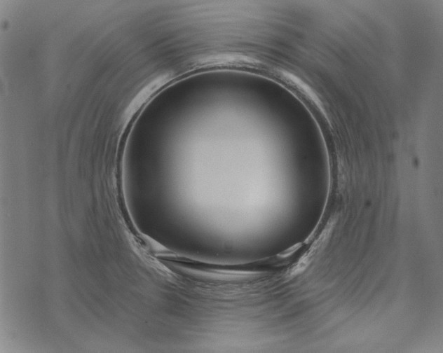 X0000073761330200608171347