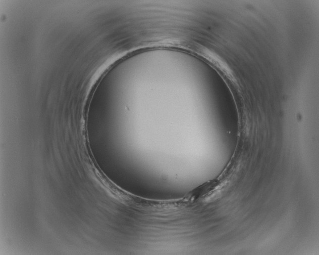 X0000073761332200608171347