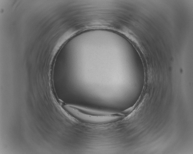 X0000073761333200608171347