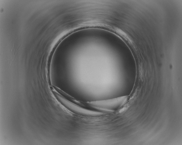 X0000073761334200608171347