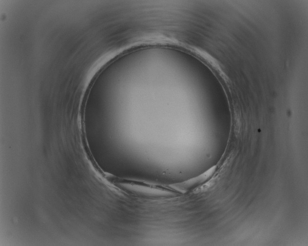 X0000073761335200608171347