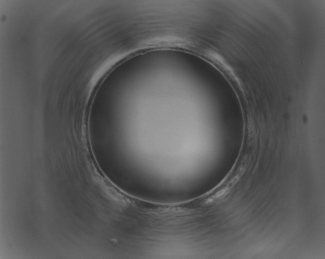 X0000073761336200608171347