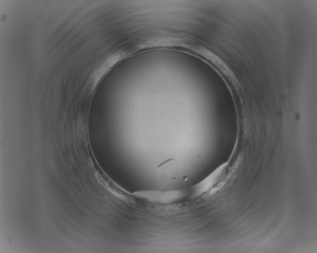 X0000073761337200608171347