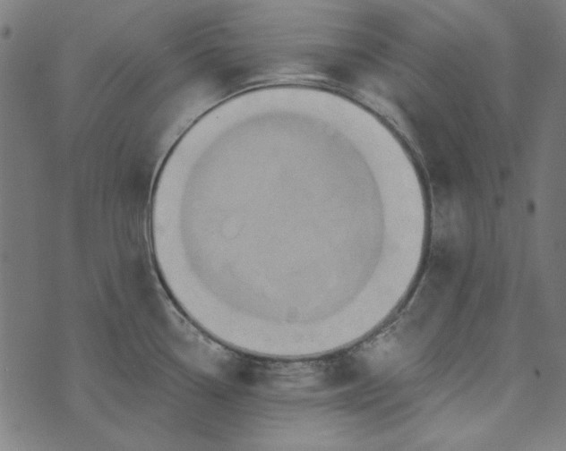 X0000073761338200608171347