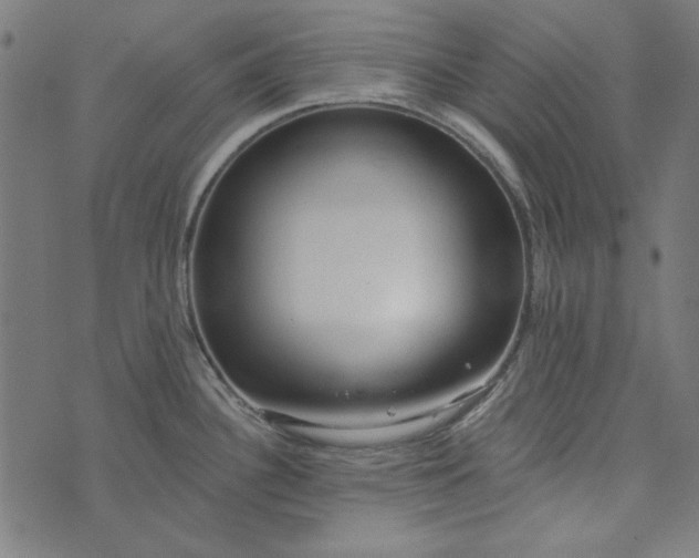 X0000073761340200608171347