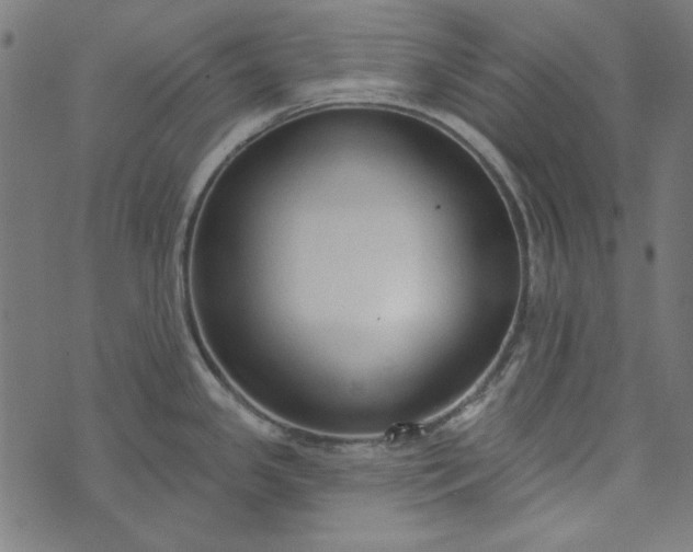 X0000073761341200608171347