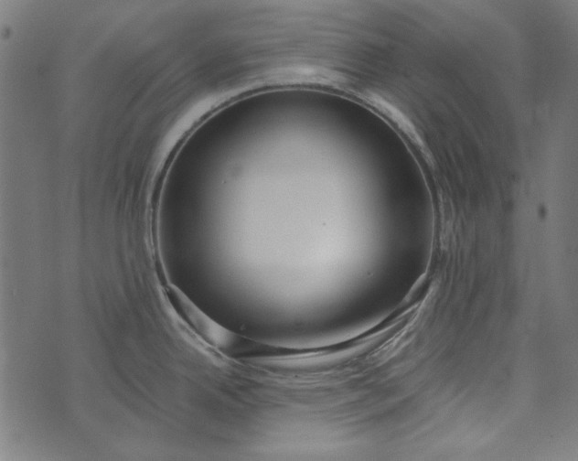 X0000073761342200608171347